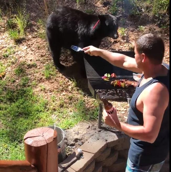 Barbecue battle with bear