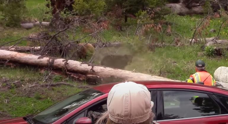 Park Ranger Spraying bear