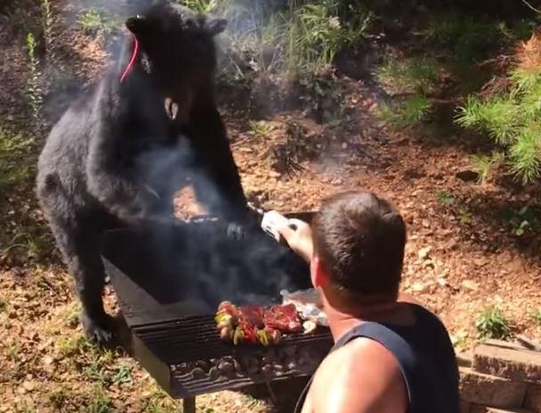 Barbecue battle with bear