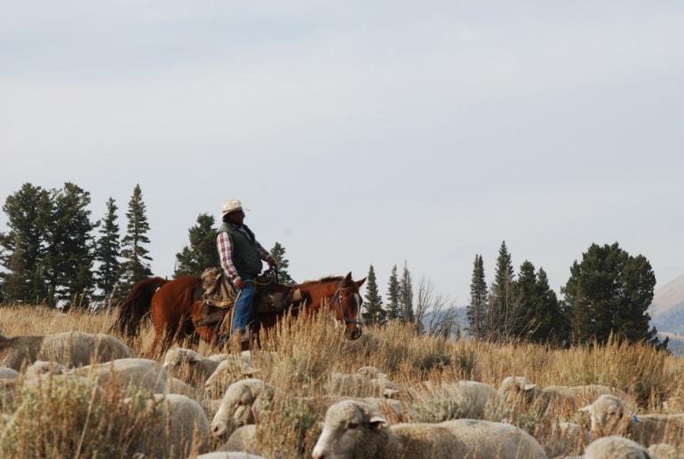 Sheepherders