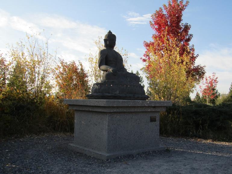 Buddha garden