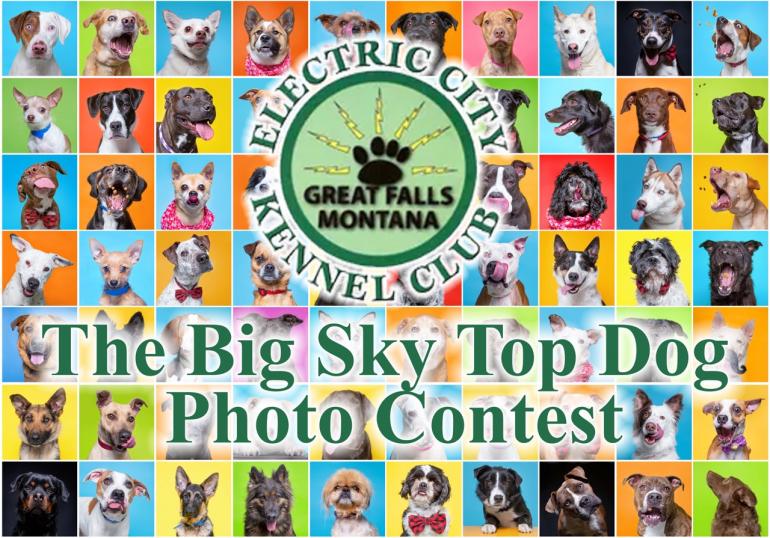 Big Sky Top Dog Photo Contest