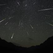 Perseid Shower